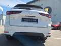 Mazda CX-60 3.3L e-SKYACTIV D AWD TAKUMI PLUS Aut. Weiß - thumbnail 12