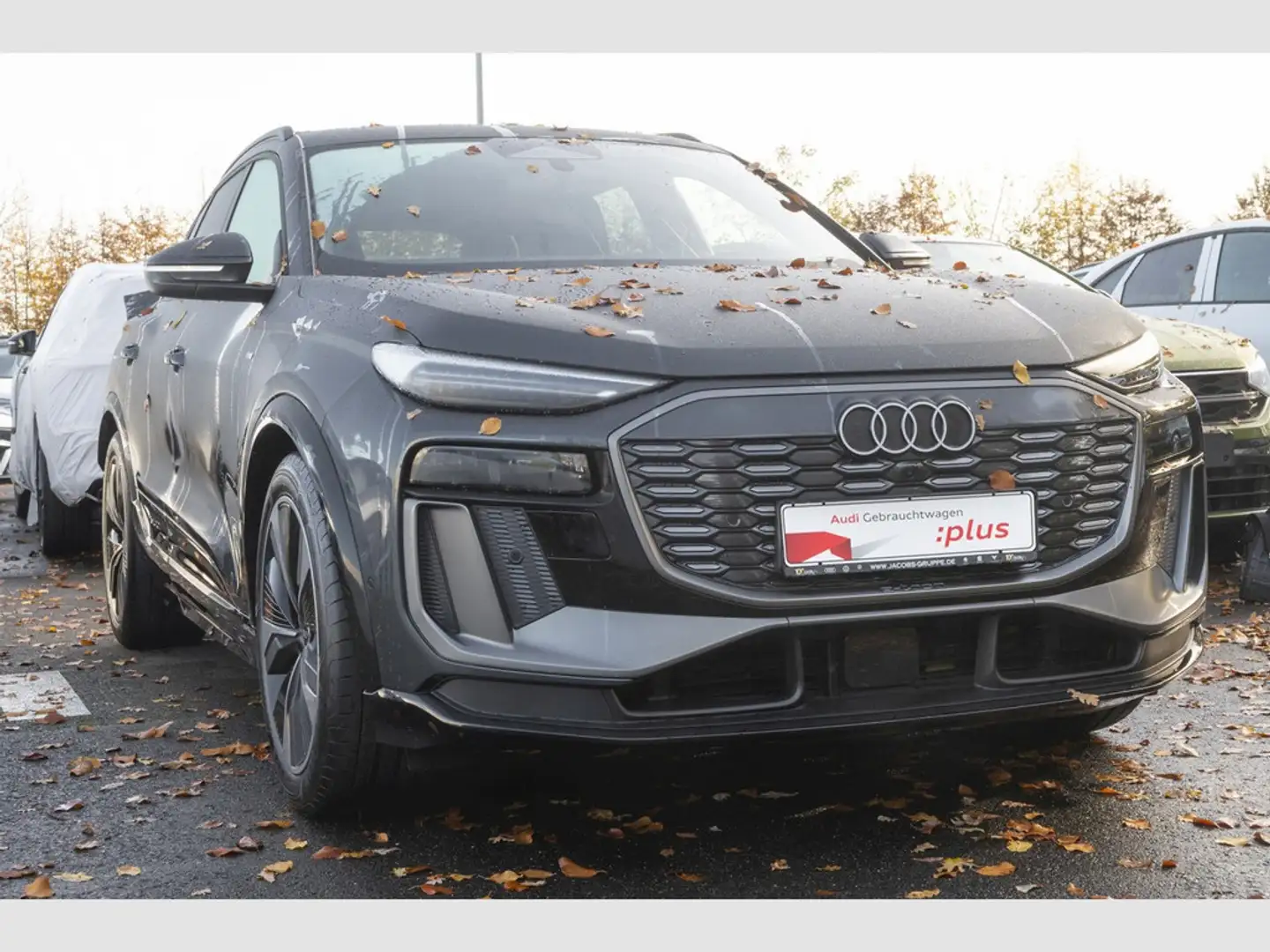 Audi Q6 e-tron 185kW S line Pano, Beifahrerdisplay Gris - 2