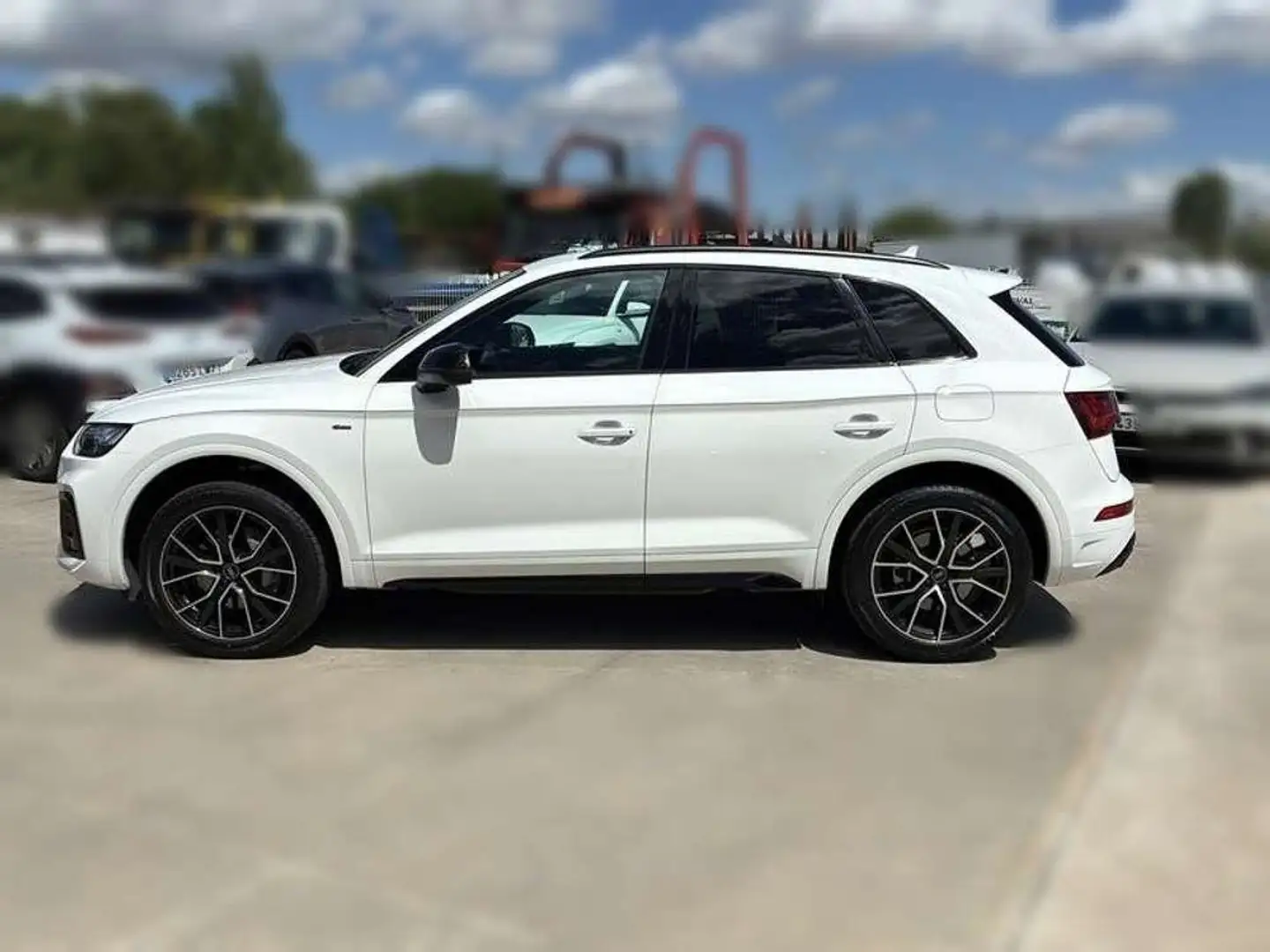 Audi Q5 Black Line 50 TFSI e quattro Blanco - 2