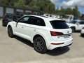 Audi Q5 Black Line 50 TFSI e quattro Blanco - thumbnail 3