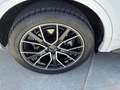 Audi Q5 Black Line 50 TFSI e quattro Blanco - thumbnail 11