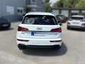 Audi Q5 Black Line 50 TFSI e quattro Blanco - thumbnail 4