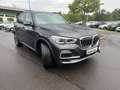 BMW X5 xDrive30d xLine Head-Up HK HiFi DAB WLAN Gri - thumbnail 17