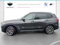 BMW X5 xDrive30d xLine Head-Up HK HiFi DAB WLAN Gri - thumbnail 11