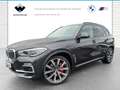 BMW X5 xDrive30d xLine Head-Up HK HiFi DAB WLAN Gri - thumbnail 10