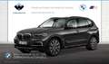 BMW X5 xDrive30d xLine Head-Up HK HiFi DAB WLAN Grau - thumbnail 1