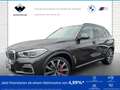 BMW X5 xDrive30d xLine Head-Up HK HiFi DAB WLAN Gri - thumbnail 1