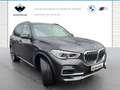 BMW X5 xDrive30d xLine Head-Up HK HiFi DAB WLAN Gri - thumbnail 8