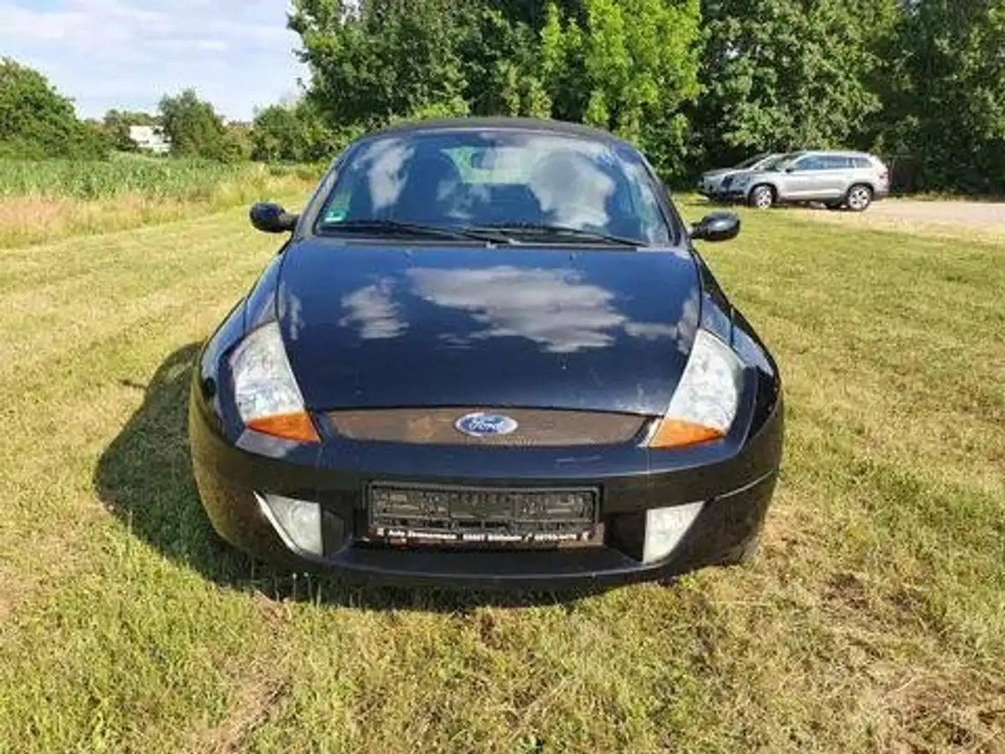 Ford Streetka Elegance keine Tüv,Klima,Servo,Alu,Cabrio Schwarz - 2