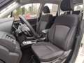 Subaru Forester 2.0 Luxury Afn.trekhaak - Parkeersensoren - Achter Wit - thumbnail 18