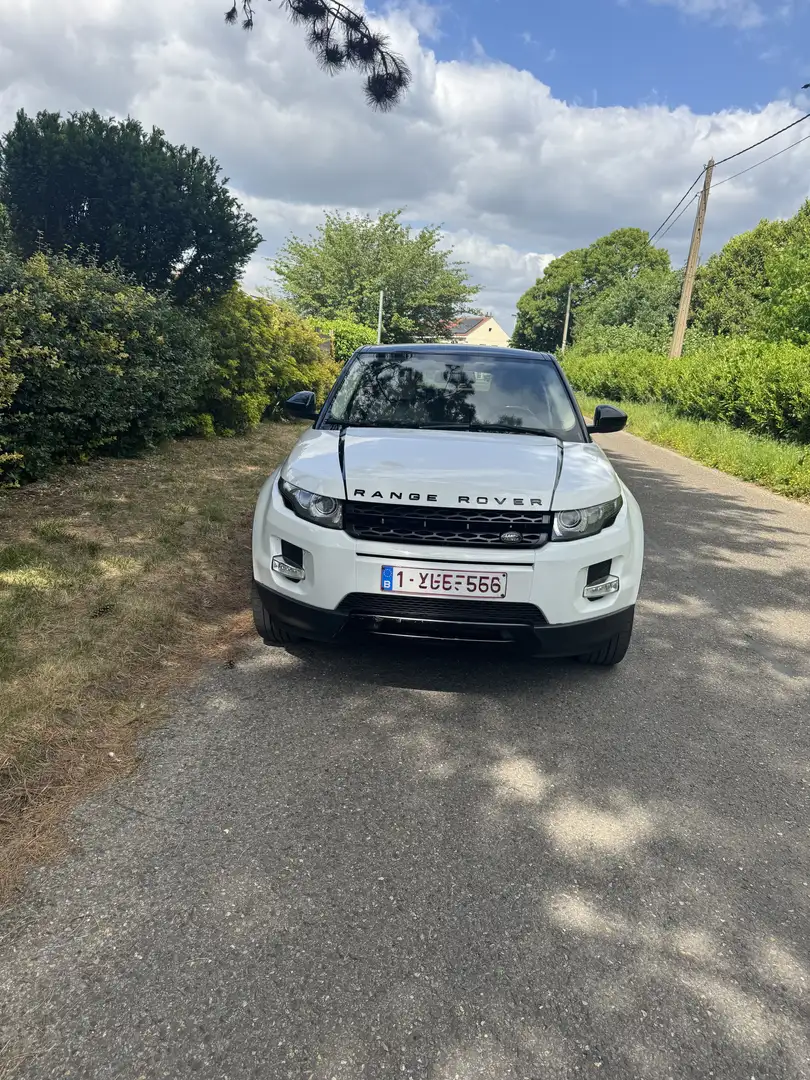 Land Rover Range Rover Evoque 2.2 TD4 4WD Prestige Lounge Edition Wit - 1