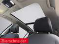 Volkswagen Golf Variant 8 1.0 TSI NAVI PANO LED KAMERA Blau - thumbnail 21