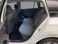 Volkswagen Golf Variant Golf VIII Variant 1.5 TSI Life LED AHZV Sitzhzg. Weiß - thumbnail 10