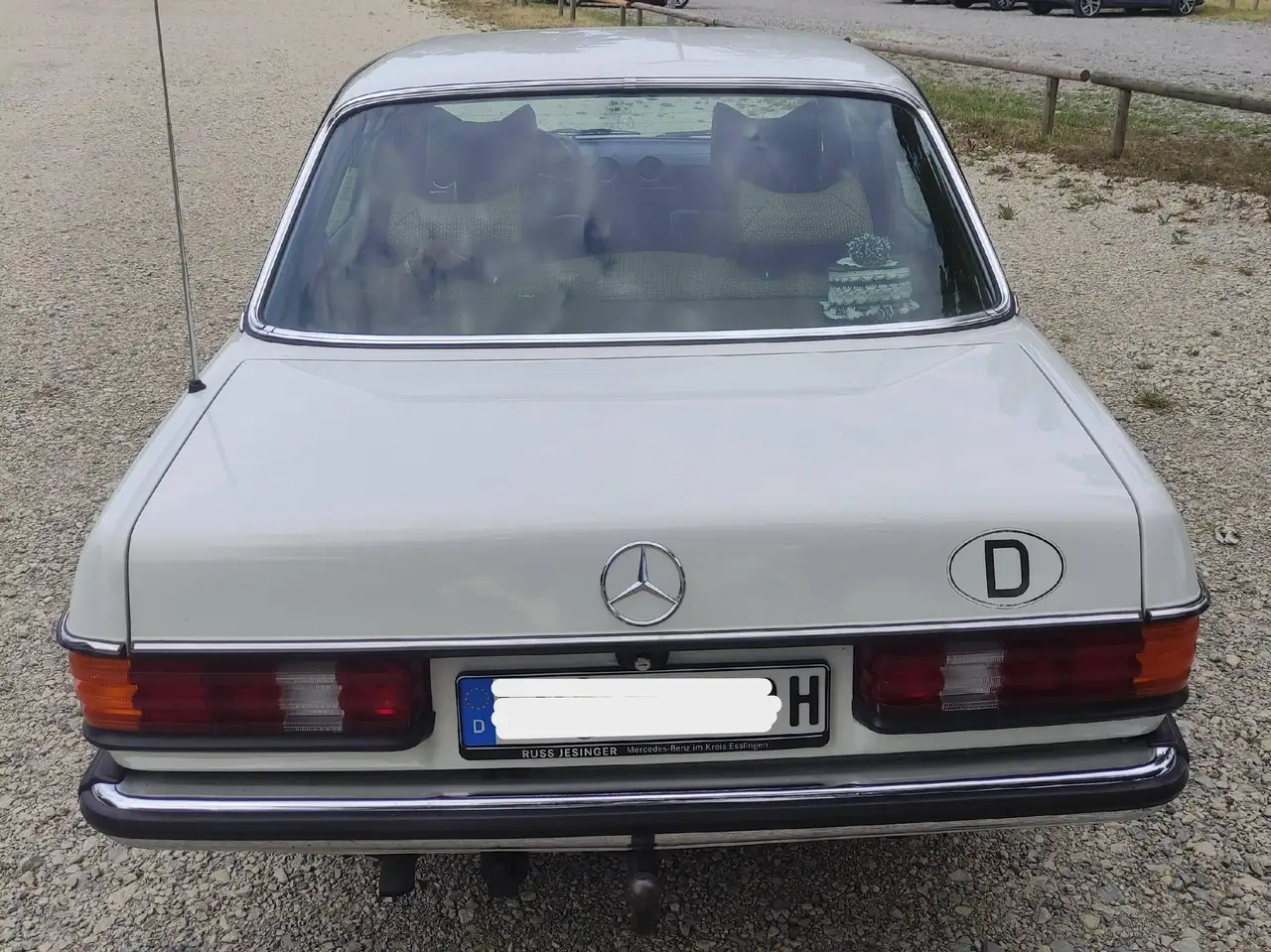 Mercedes-Benz 230, foto 2