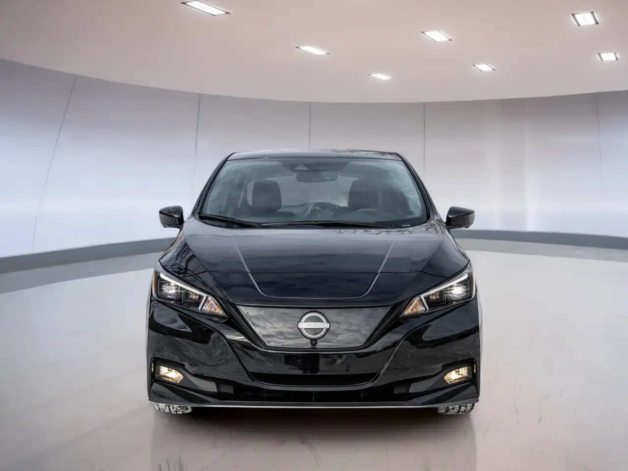 Nissan Leaf снимка Nissan Leaf