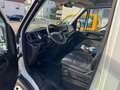 Iveco Daily 35 C 12 Kühlkoffer  - 24 ° C Ladebordwand Weiß - thumbnail 8