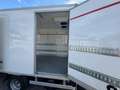 Iveco Daily 35 C 12 Kühlkoffer  - 24 ° C Ladebordwand Weiß - thumbnail 5