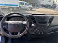 Iveco Daily 35 C 12 Kühlkoffer  - 24 ° C Ladebordwand Weiß - thumbnail 9