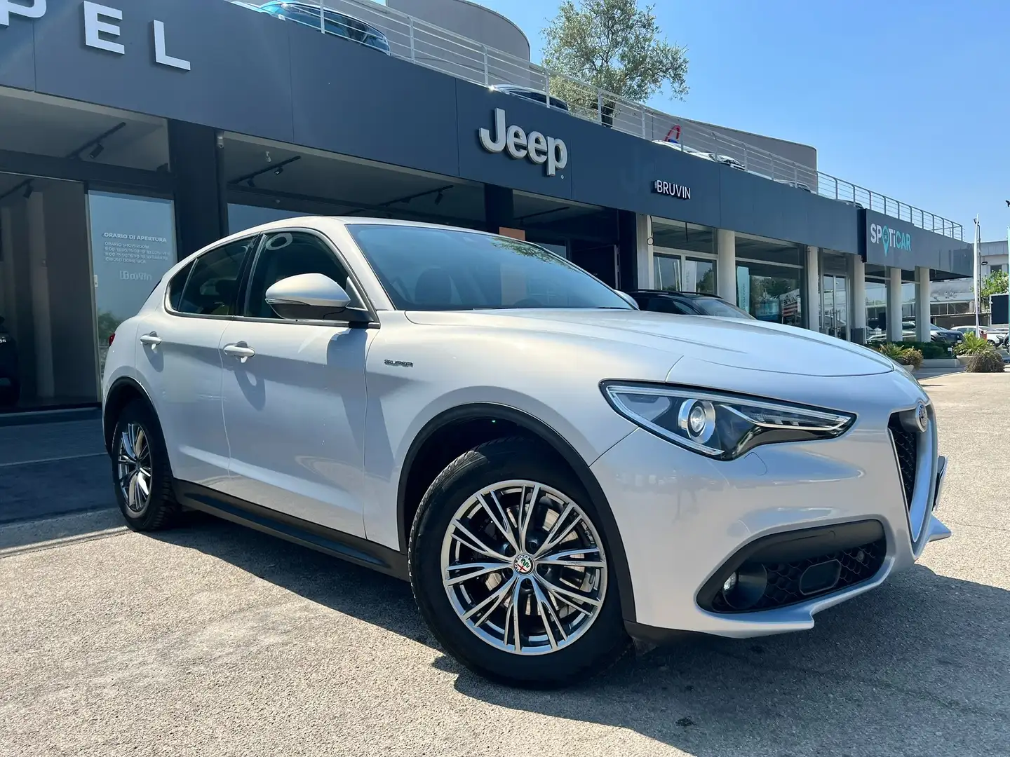 Alfa Romeo Stelvio Stelvio 2.2 t Super rwd 160cv auto Grigio - 2