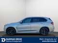 BMW X5 X5 40D M-Sportpaket Pano  AHK 360 Grad Plateado - thumbnail 9