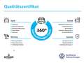 Volkswagen Golf VIII Move 1.0 TSI ACC KAMERA IQ NAV PANO Silber - thumbnail 5