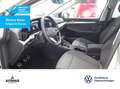 Volkswagen Golf VIII Move 1.0 TSI ACC KAMERA IQ NAV PANO Silber - thumbnail 3