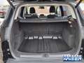 Ford Kuga Titanium AHK-klappbar Navi Xenon ACC El.Klappe Schwarz - thumbnail 10