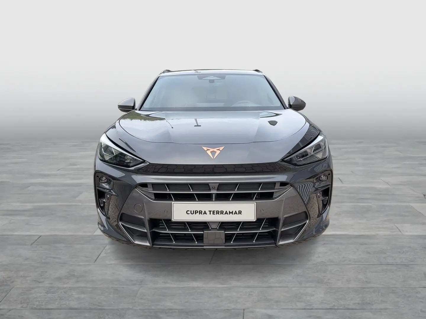 CUPRA Terramar 1.5 e-TSI 150 PS DSG Grau - 2