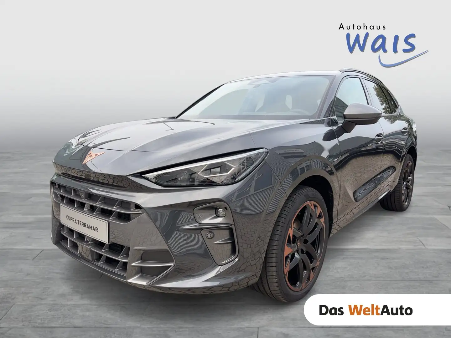 CUPRA Terramar 1.5 e-TSI 150 PS DSG Grau - 1