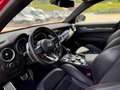 Alfa Romeo Stelvio Stelvio 2.9 bi-t V6 Quadrifoglio Q4 510cv aAT8 Rosso - thumbnail 8