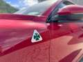 Alfa Romeo Stelvio Stelvio 2.9 bi-t V6 Quadrifoglio Q4 510cv aAT8 Rosso - thumbnail 11