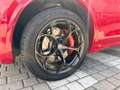 Alfa Romeo Stelvio Stelvio 2.9 bi-t V6 Quadrifoglio Q4 510cv aAT8 Rosso - thumbnail 12