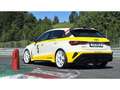 Audi RS3 Sportback 2,5 TFSI qu Heritage Edition, 1of3 Matri Alb - thumbnail 3