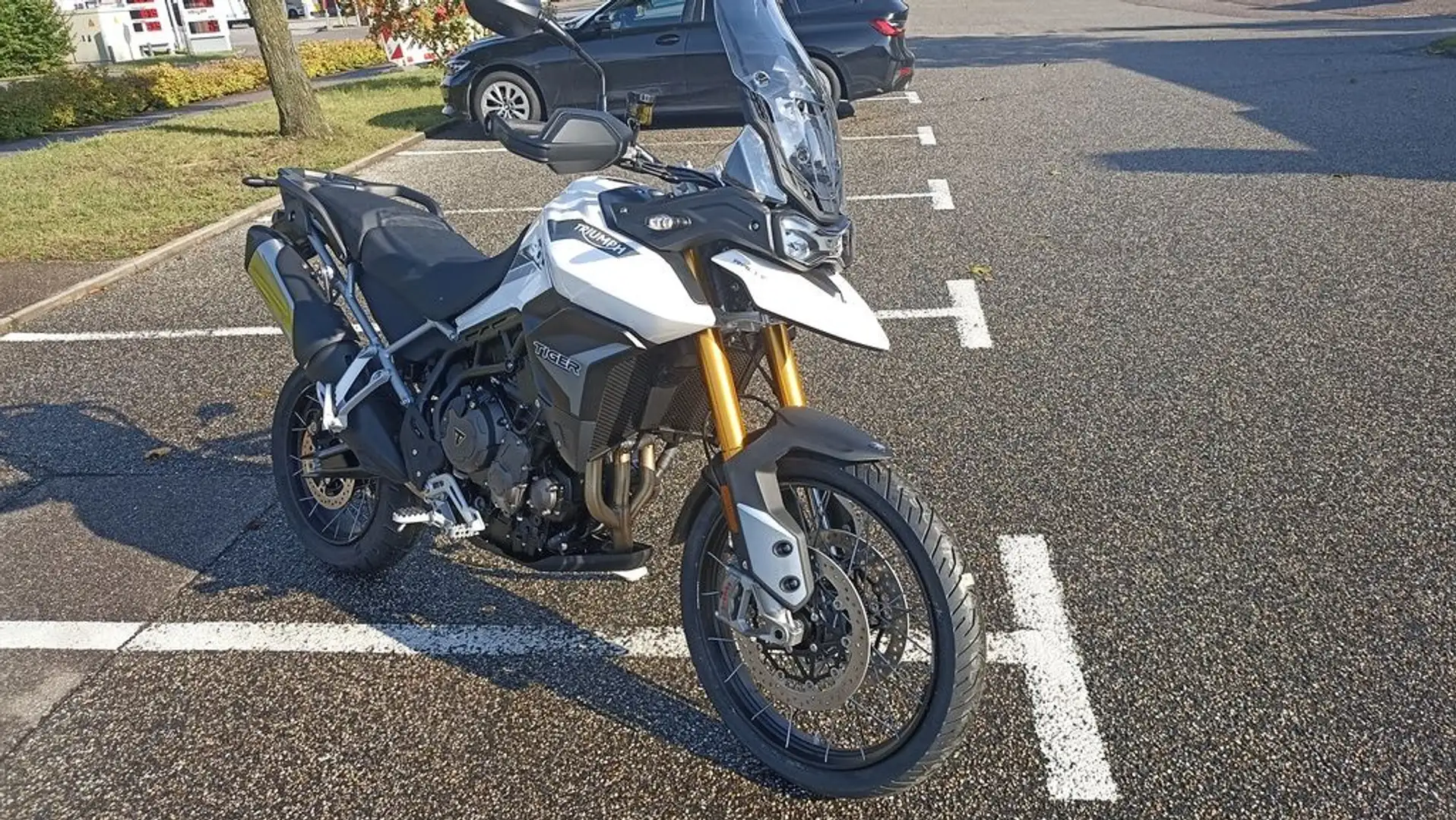 Triumph Tiger 900 RALLY Sonderangebot Fehér - 2