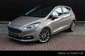 Ford Fiesta 1.0 EcoBoost Vignale Grijs - thumbnail 1