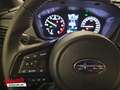 Subaru Forester Forester 2.0ie Mild-Hybrid Exclusive ACC LED NAV Weiß - thumbnail 26