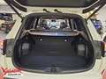 Subaru Forester Forester 2.0ie Mild-Hybrid Exclusive ACC LED NAV Weiß - thumbnail 10