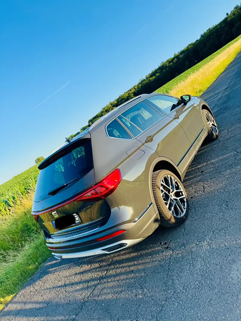SEAT Tarraco Xperience Leder 20Zoll Panoramadach Grau - 2