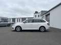 Skoda Fabia Combi 1.0 TSI Ambition 100€ m. 20% Anzahlung DAB Weiß - thumbnail 2