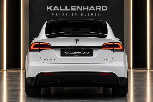 Tesla Model X view 10