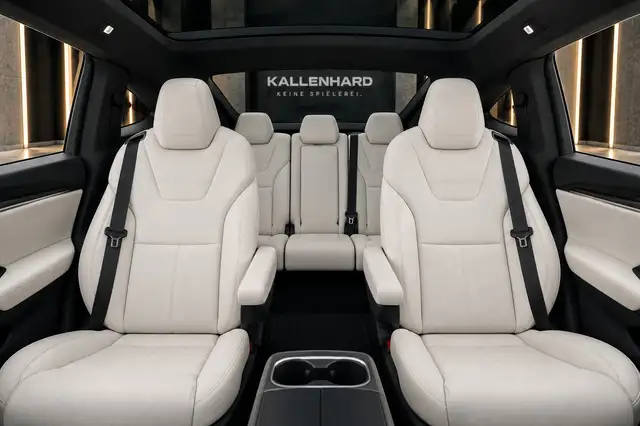 Tesla Model X view 8