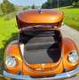 Volkswagen Käfer Cabrio 1303 /Herbstpreis !!!! Braun - thumbnail 12