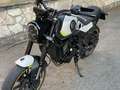 Benelli Leoncino - thumbnail 2