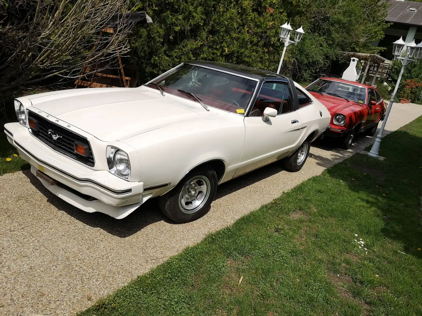 Ford Mustang Mustang Fastback - 1