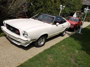 Mustang Fastback