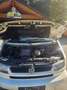 Volkswagen T4 Multivan Multivan Classic TDI Weiß - thumbnail 9