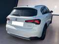 Fiat Tipo Hatchback My22 1.5 Hybrid130cv Dct Hb Cross Bianco - thumbnail 6