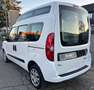 Fiat Doblo Doblo II  1.6 mjt 16v Active trasporto disabili Bianco - thumbnail 6