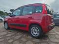 Fiat Panda Panda III 1.2 Easy 69cv E6 KM 21.000 Gar. 12 mesi - thumbnail 5