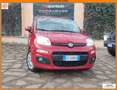Fiat Panda Panda III 1.2 Easy 69cv E6 KM 21.000 Gar. 12 mesi - thumbnail 1